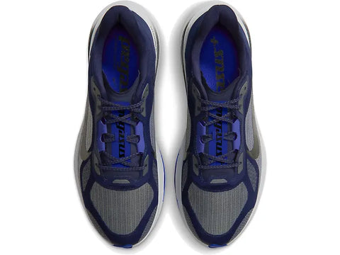 Men's Nike Pegasus Plus 2