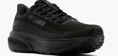 Women's Ghost 17 (GTX) (Clearance)