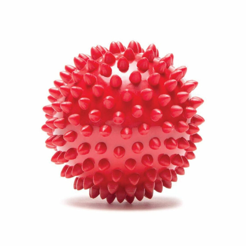 Protec Spiky Ball