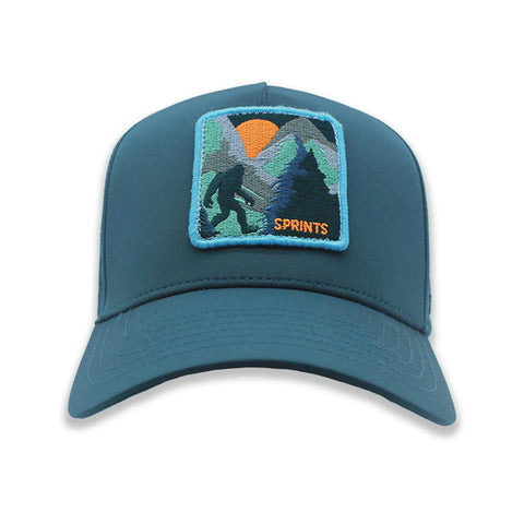 Sprints Structured VP Hat